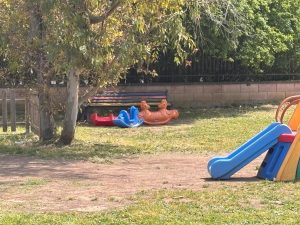 E' stato effttuato lo sfalcio dell'erba nel giardino esterno del plesso di via Millevoi, rendendolo ancora più bello e pronto ad accogliere nuovi giochi in arrivo per i nostri bimbi.